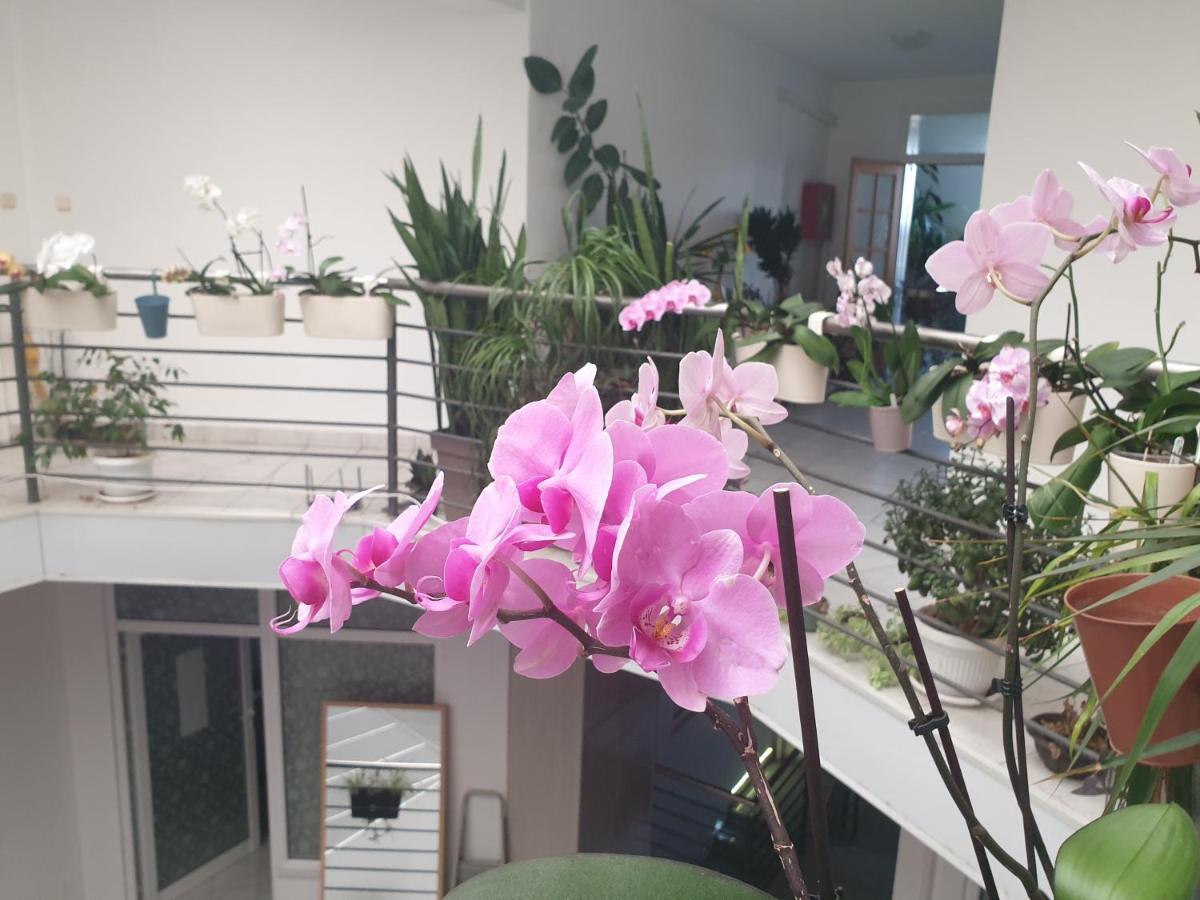 Apartament Atrijum